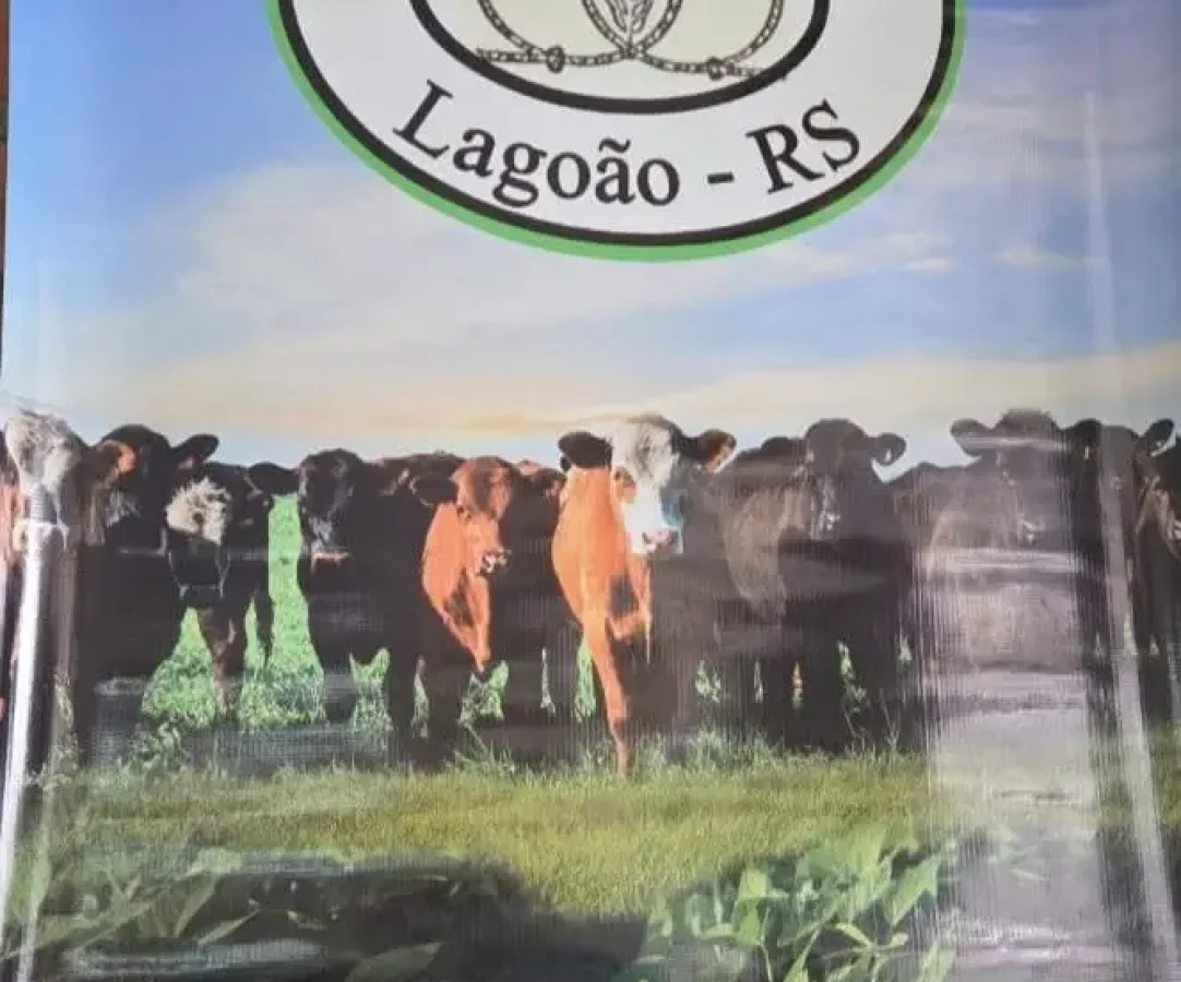 719210182_1499863558824550_8617325106585450049_n